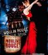 Kırmızı Değirmen (Moulin Rouge!) izle